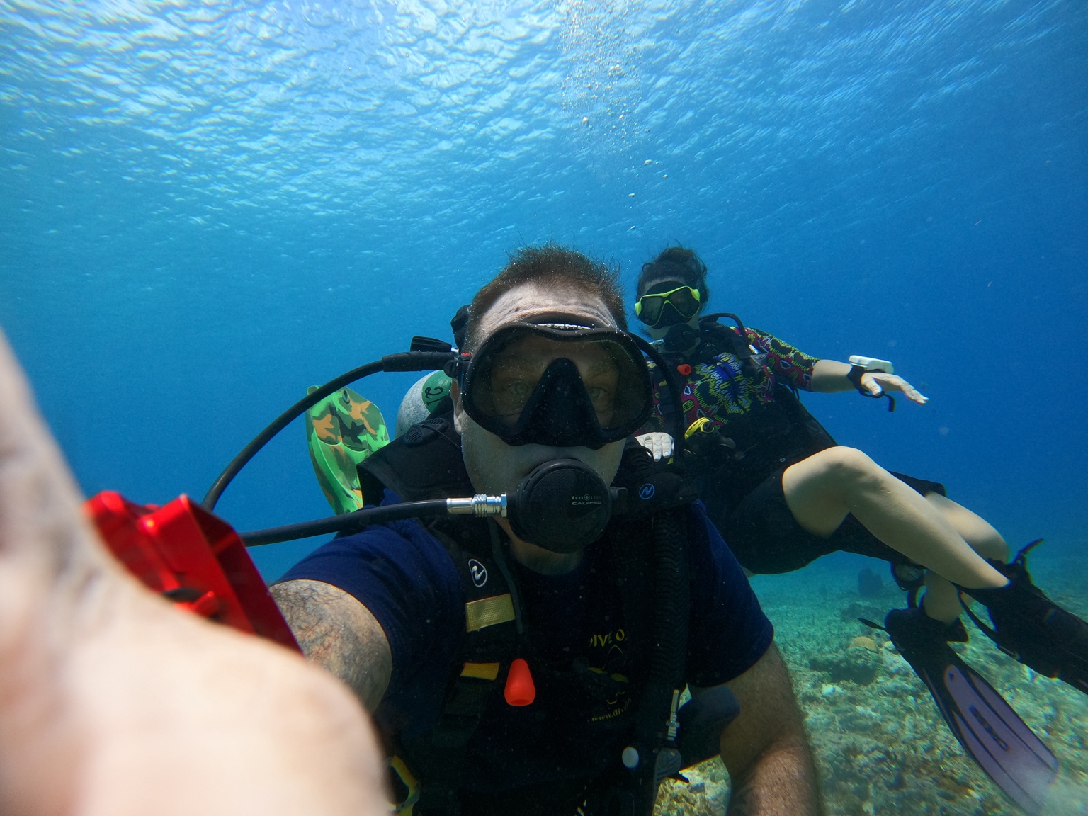 Hammerhead Scuba diver underwater