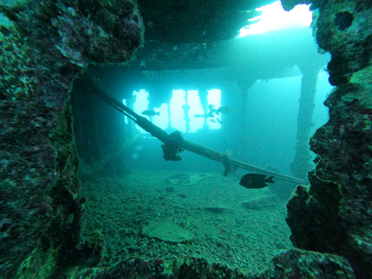 Scuba diver exploring the interior of a wreck